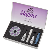B/S Set starter cu magnet pentru corectarea unghiilor încarnate cu 40 benzi